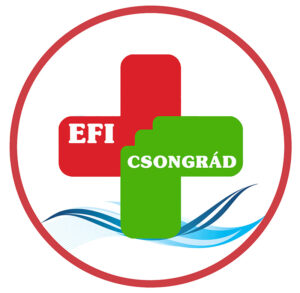 EFI logó